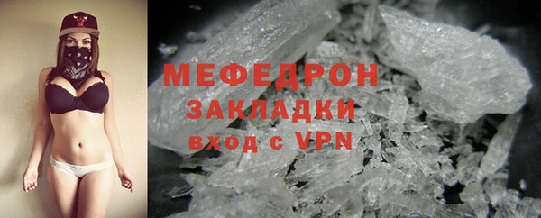 хмурый Аркадак
