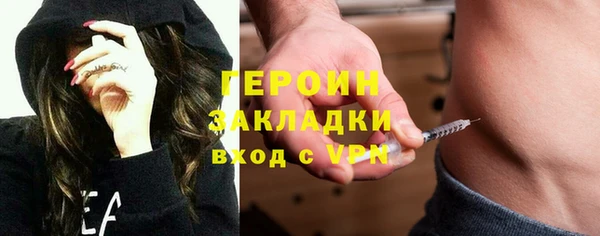 хмурый Аркадак