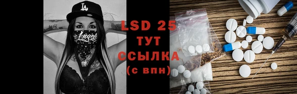 хмурый Аркадак