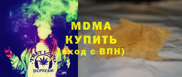 хмурый Аркадак