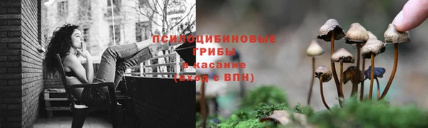 гидропоника Пересвет