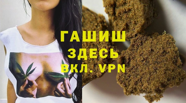 хмурый Аркадак