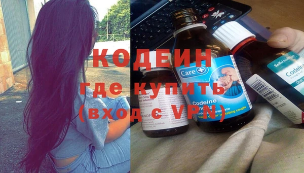 хмурый Аркадак