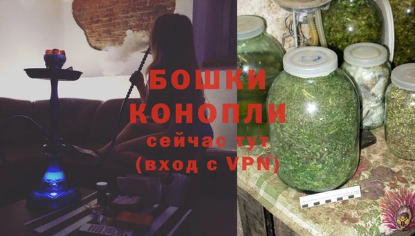хмурый Аркадак