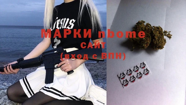 хмурый Аркадак