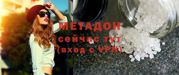 хмурый Аркадак