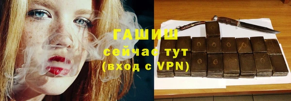 хмурый Аркадак