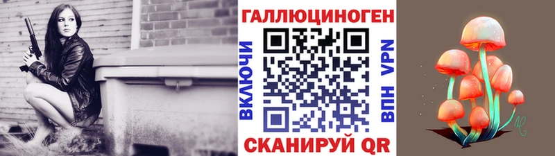 кракен зеркало Суровикино Галлюциногенные грибы мицелий